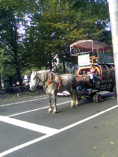 札幌０９０９１２２