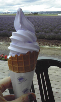 ラベンダーソフト