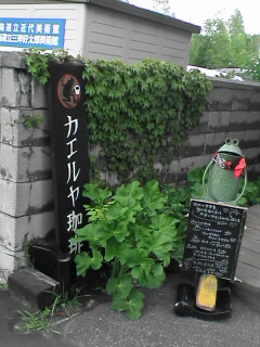 カエルヤ５２１