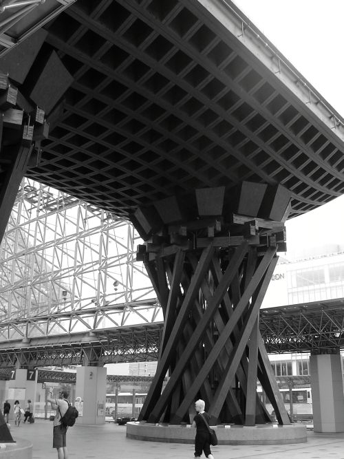 本当に大きい！