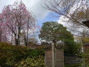P1000439.JPG