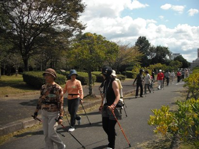 公園内のアスファルトNW.JPG