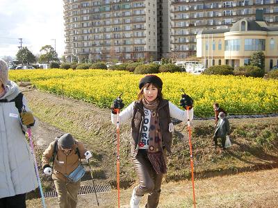 菜の花NW&LUNCH E.JPG