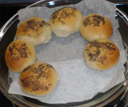 コボッチ　パン１