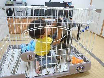 やっぱり歯石チェック