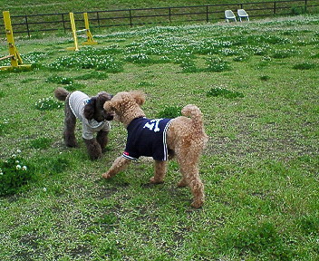 20060528 1209.jpg