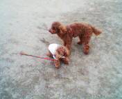 200601041238.jpg