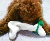 200512282145.jpg
