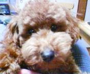 200512211903.jpg