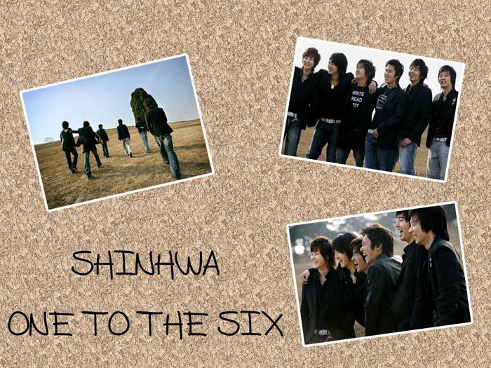 シナ1 のコピー.jpg