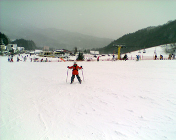 080224_katashina.jpg