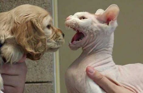 ぎゃあぁぁぁぁ！！