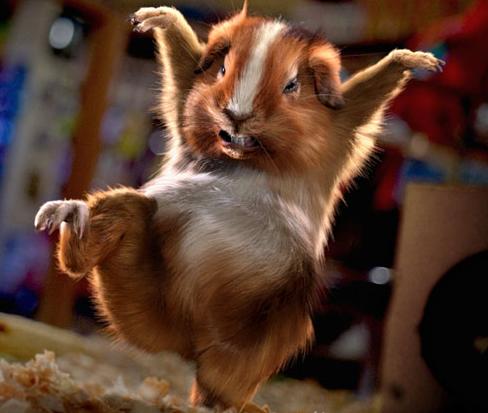 ホゥワチャー！