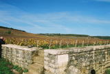romanee_conti