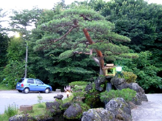ユウスゲ温泉