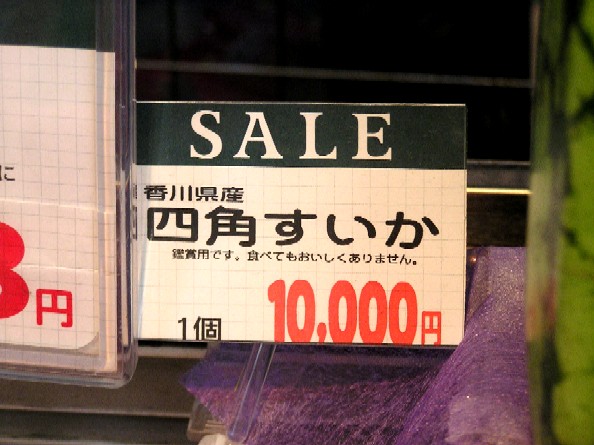 スイカのお値段
