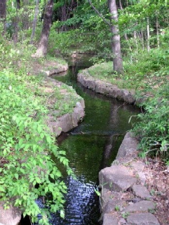神代の中にある小川