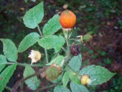 2009.6月～7月 085.JPG