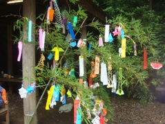 2009.6月～7月 230.JPG