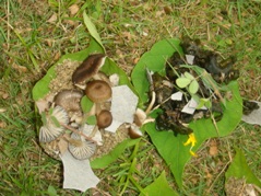 2009.6月～7月 239.JPG