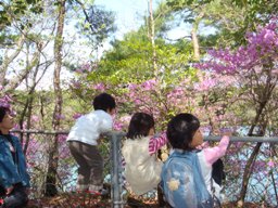 2008.4.11教育ＤＡＹ 002 - コピー.JPG