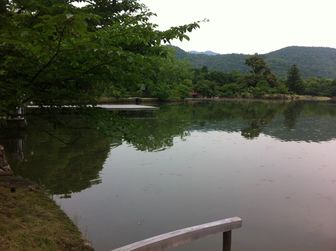 大沢池