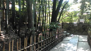 詩仙堂入口の竹林