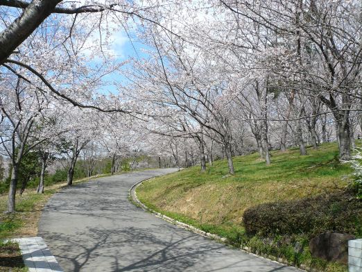 桜の園２.jpg