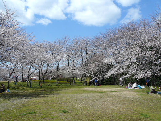 桜の園３.jpg