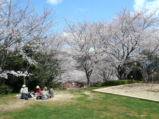 桜の園５.jpg
