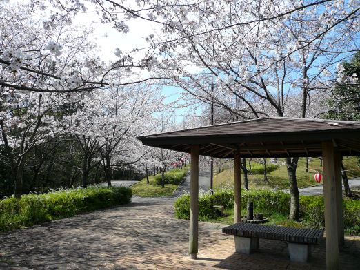 桜の園８.jpg