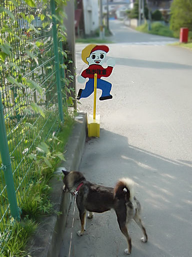 クロと小学校と飛び出し注意.jpg