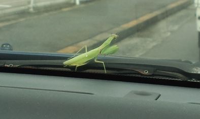 フロントガラスの向こう・・