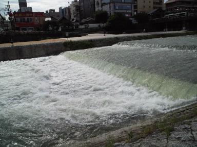 鴨川増水中！