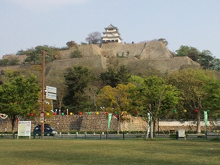 登ります～