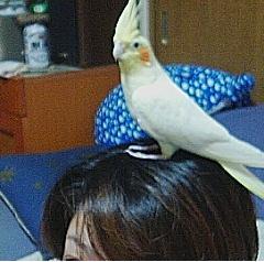 okame
