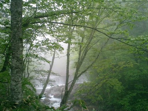 2006_0606as0009.JPG