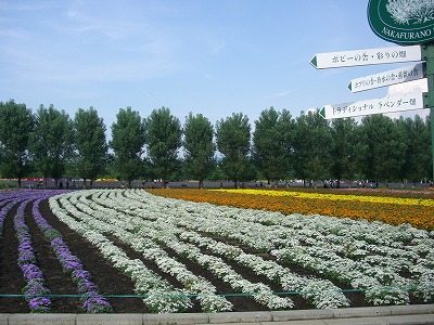 楽天CIMG4031.jpg