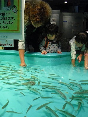 楽天CIMG4838.jpg
