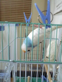 さかさま？
