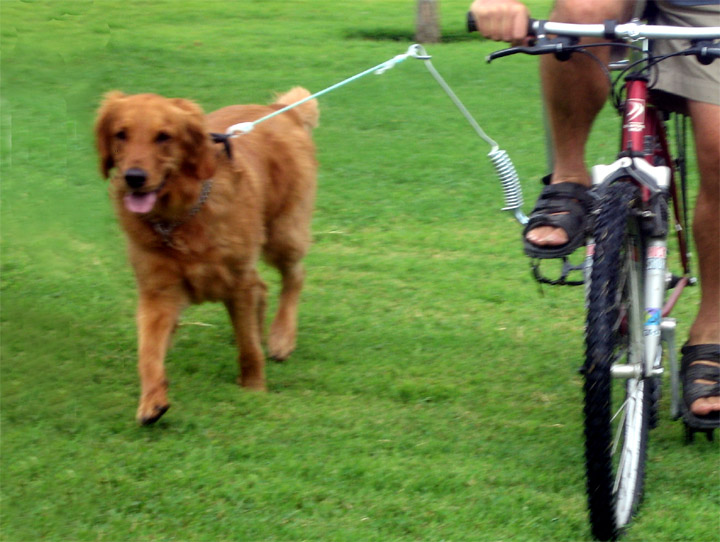 Gretchen with bike front view.jpg