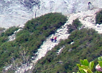 Hikers on trail