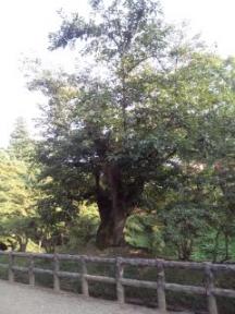 弘前公園の一角