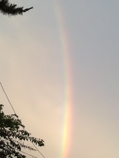 夕方の虹のしっぽ