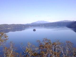 木陰より快晴の摩周湖