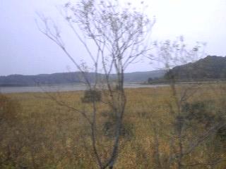 雨の釧路湿原2008