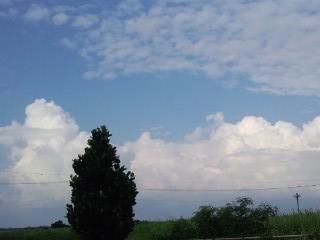 まるでラピュタ雲