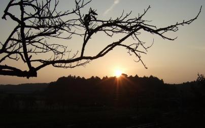 偕楽園からの夕日