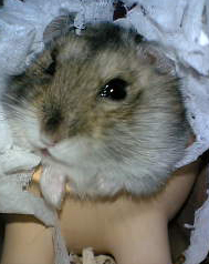 ホントうまうまですな～