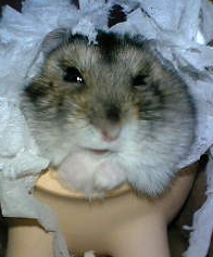 あぁ～もう一個食べたいです～